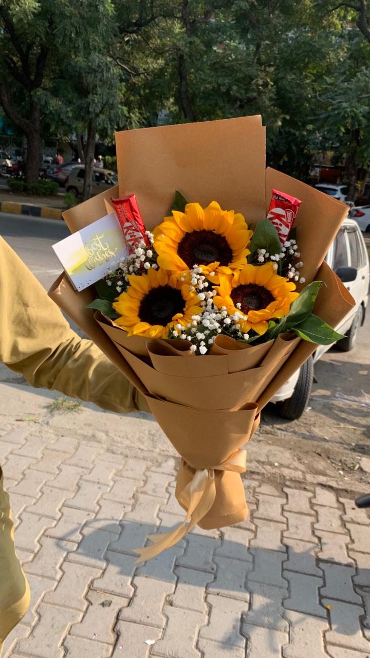 sunflower