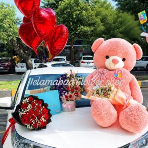 Teddy All In One Deal